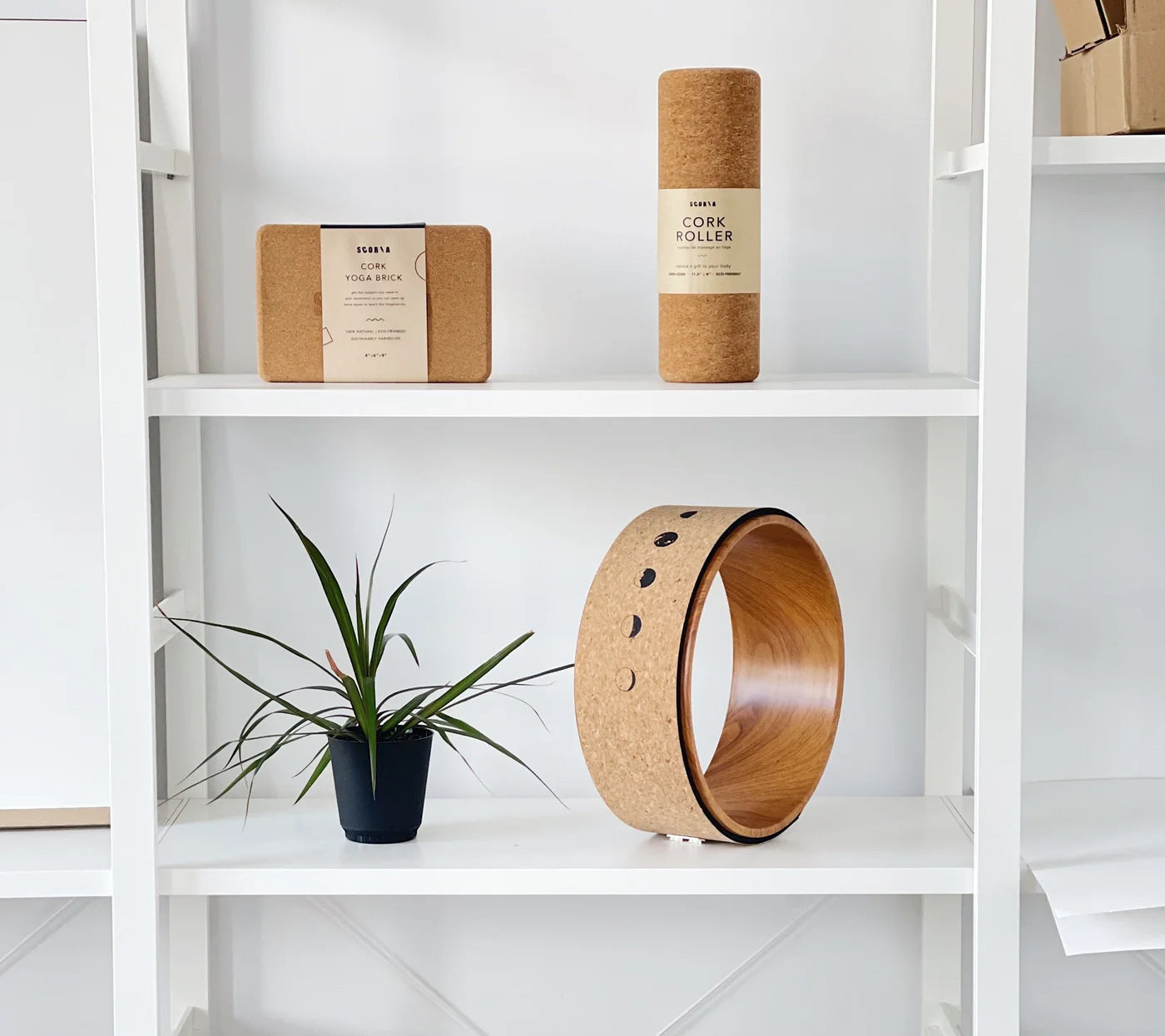 Illuminate Cork Yoga Wheel