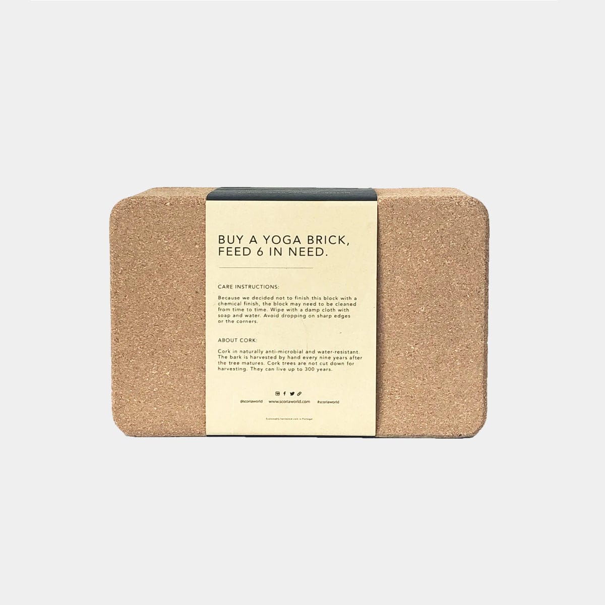 PAIR OF THE ORIGINAL CORK YOGA BLOCKS | 4"x6x9"