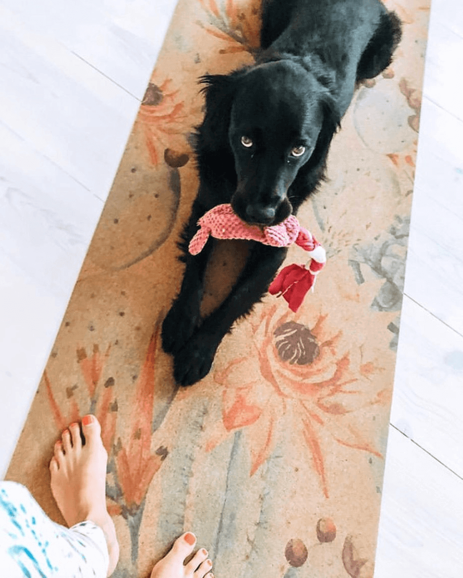 X-Thick Botanicals Cork Yoga Mat | 6MM