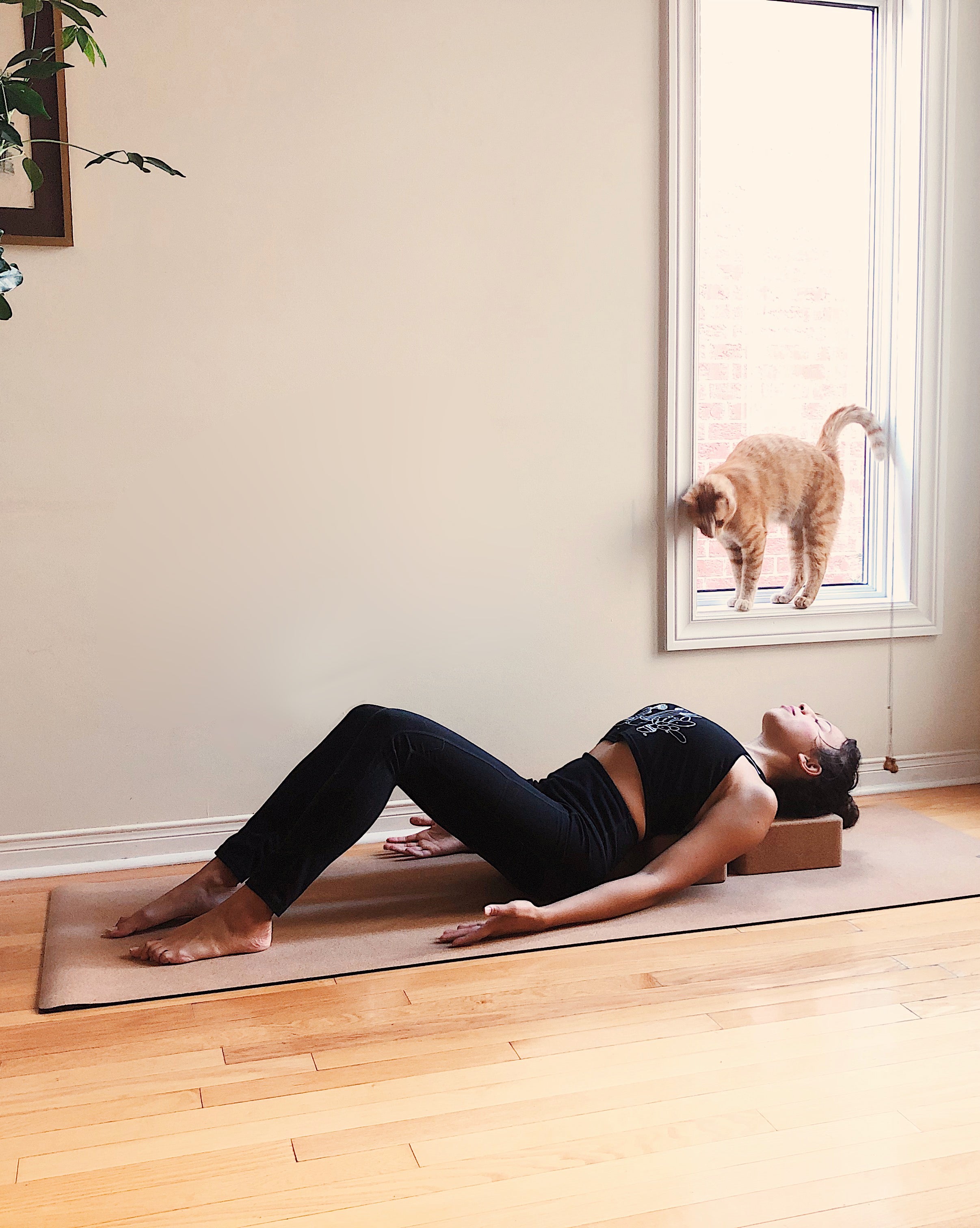 THE ORIGINAL CORK YOGA BLOCK | 4"x6"x9"